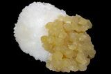 Yellow Calcite On Scolecite (Zeolite) Sprays - Maharashtra, India #168695-1